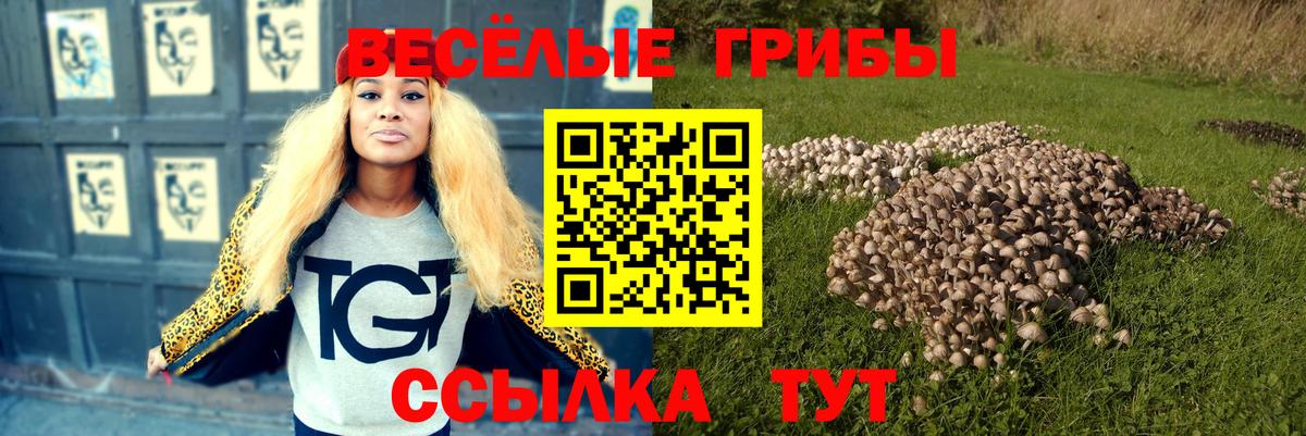 Галлюциногенные грибы GOLDEN TEACHER  где купить наркотик  Иваново  Вход с VPN 