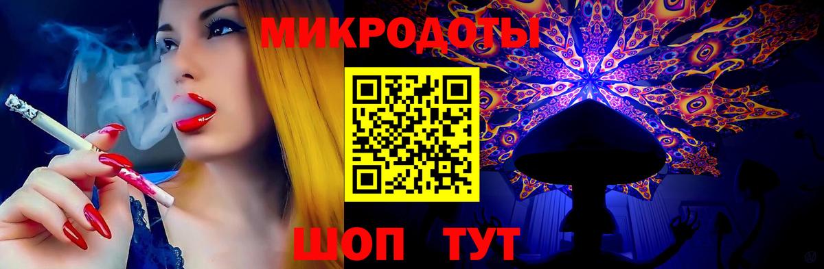 Псилоцибиновые грибы Psilocybine cubensis Иваново